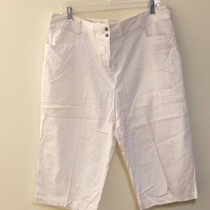 Style & Co Knee Length Pants